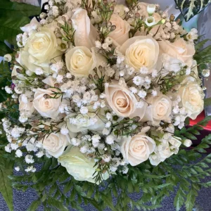 Rosas blancas en Charlotte